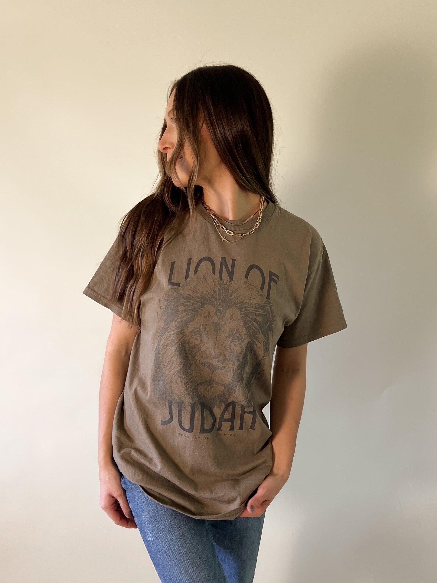 Lion of Judah Christian Shirt | Christian Apparel | Bible Verse Shirt | Jesus Shirt | Christian Tshirt | Worship Shirt | Christian Shirts