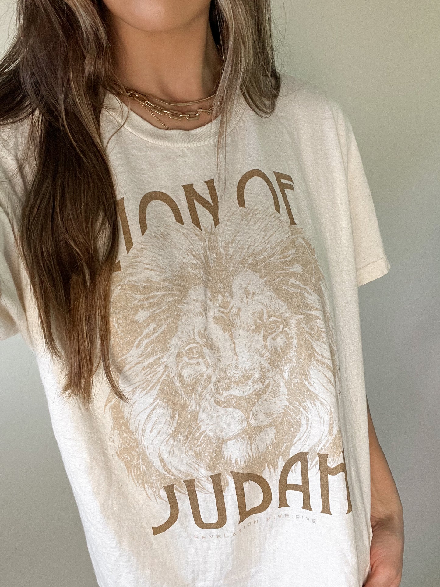 Lion of Judah Christian Shirt | Christian Apparel | Bible Verse Shirt | Jesus Shirt | Christian Tshirt | Worship Shirt | Christian Shirts