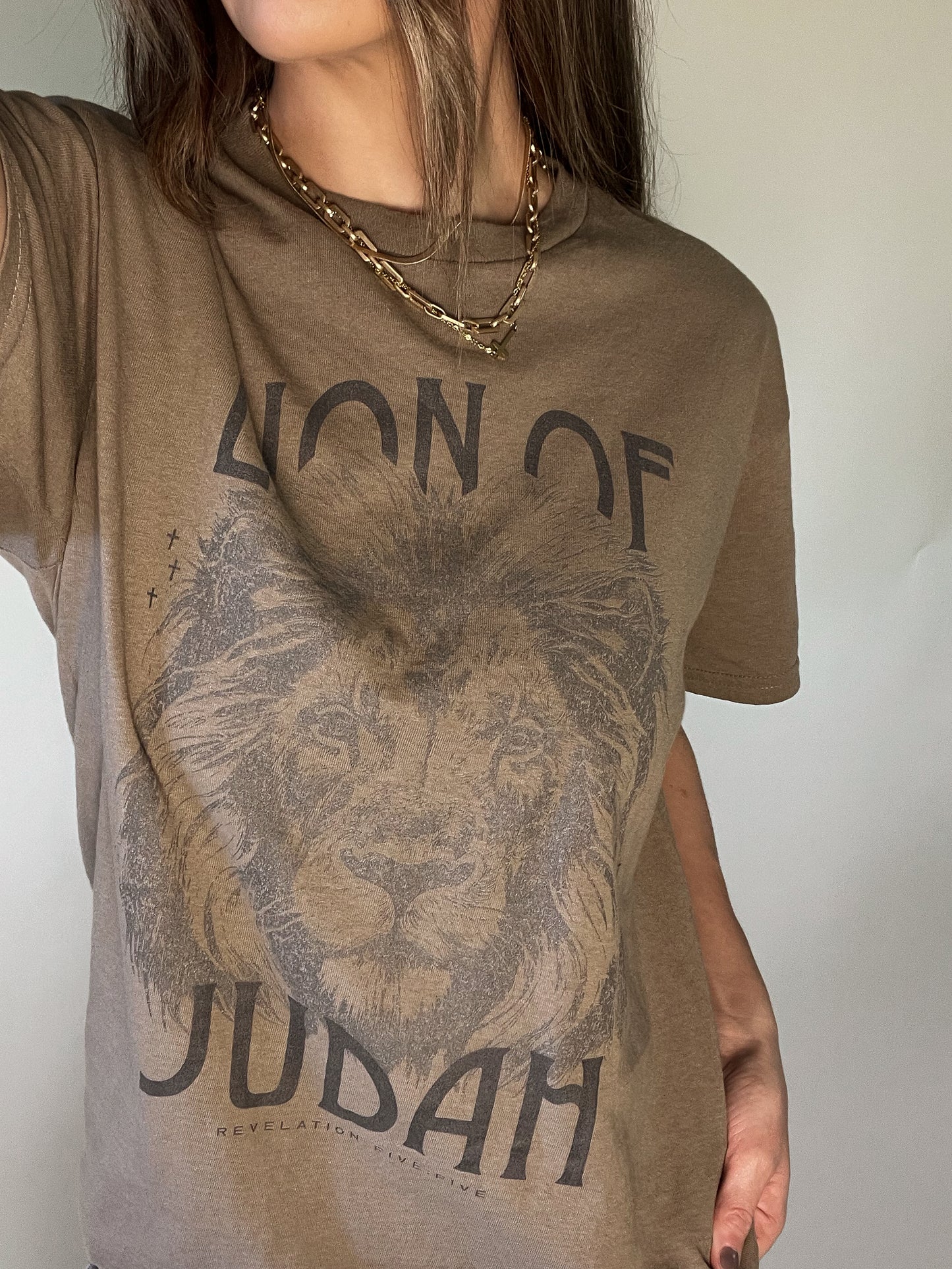 Lion of Judah Christian Shirt | Christian Apparel | Bible Verse Shirt | Jesus Shirt | Christian Tshirt | Worship Shirt | Christian Shirts